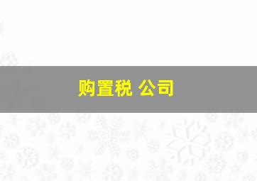 购置税 公司